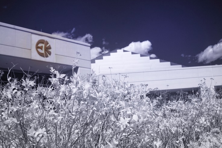 eck spring time 2012 temple IRB-1