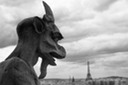 gargoyle at notre dame-1