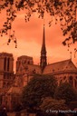 Notre Dame Paris-1